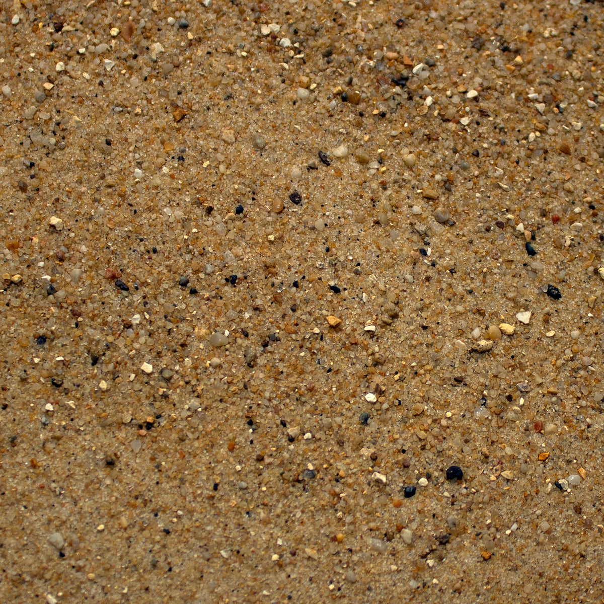 Desert Sand And Stone Small Scale basing mix — texture close-up