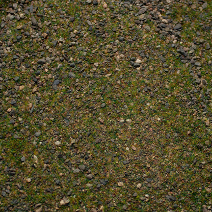 Patchy Plains Small Scale basing mix — texture close-up