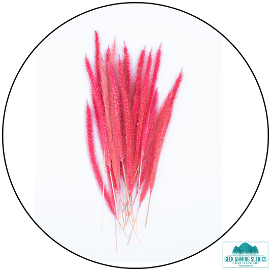 Preserved Cat Tails - Pink (18cm)