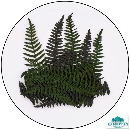 Preserved Fern Leaves - Medium Dark Green (8cm-13cm)