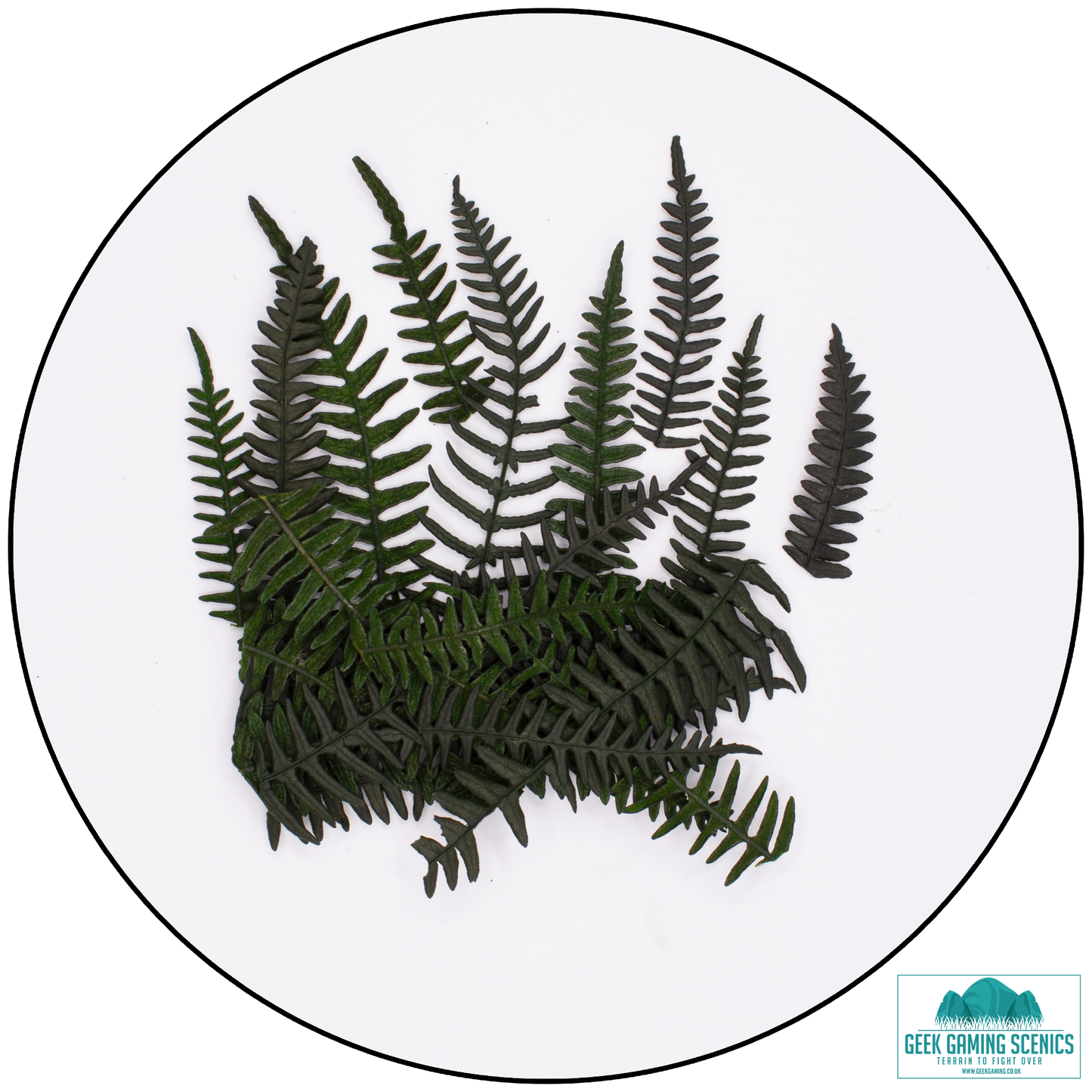 Preserved Fern Leaves - Small Dark Green (5cm-10cm)