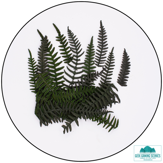 Preserved Fern Leaves - Small Dark Green (5cm-10cm)