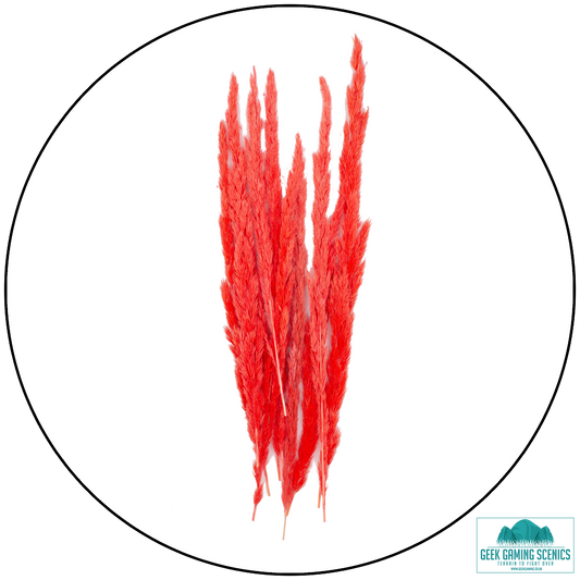 Preserved Grass Flowers - Light Red (25cm)