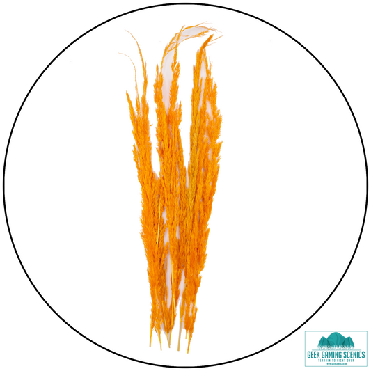 Preserved Grass Flowers - Orange (25cm)
