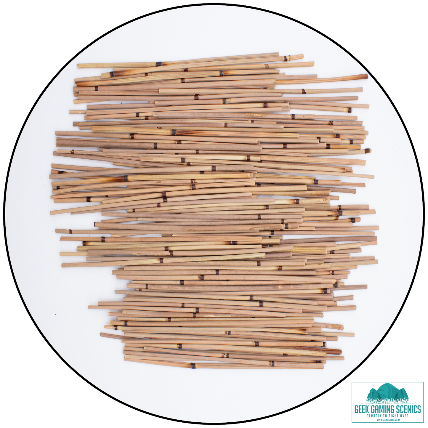 Miniature Reed Stalks / Bamboo (13cm)