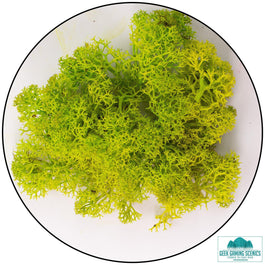  - Lichen - Geek Gaming Scenics - Geek Gaming Scenics