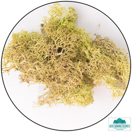  - Lichen - Geek Gaming Scenics - Geek Gaming Scenics