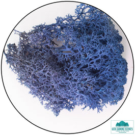  - Lichen - Geek Gaming Scenics - Geek Gaming Scenics